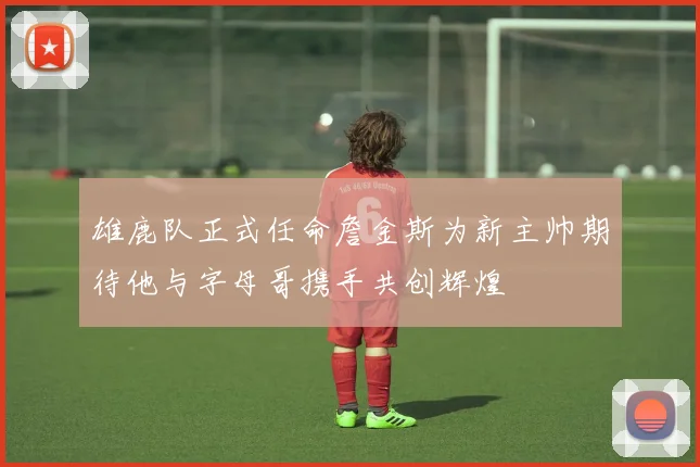 雄鹿队正式任命詹金斯为新主帅期待他与字母哥携手共创辉煌