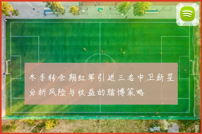 冬季转会期红军引进三名中卫新星分析风险与收益的赌博策略