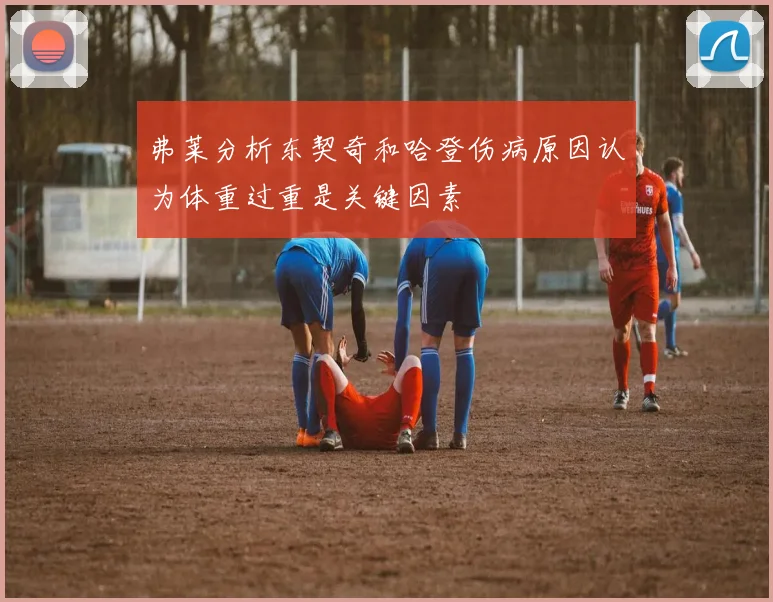 弗莱分析东契奇和哈登伤病原因认为体重过重是关键因素